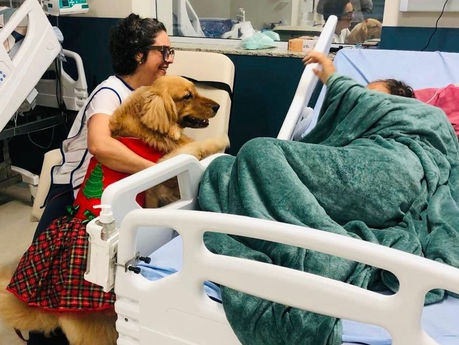 Pacientes do Hospital Mont Serrat recebem visita especial de cão terapeuta