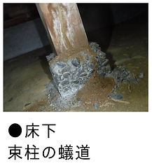 白蟻による床下束柱の食害画像
