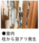 室内柱から羽アリ大量発生画像