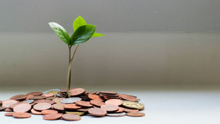 The Comparative Cost of Having a Trust vs. Probating a Will