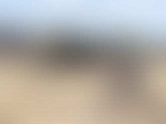 2021 RASA | RTR | Race Report #9 | Mike Woolnough