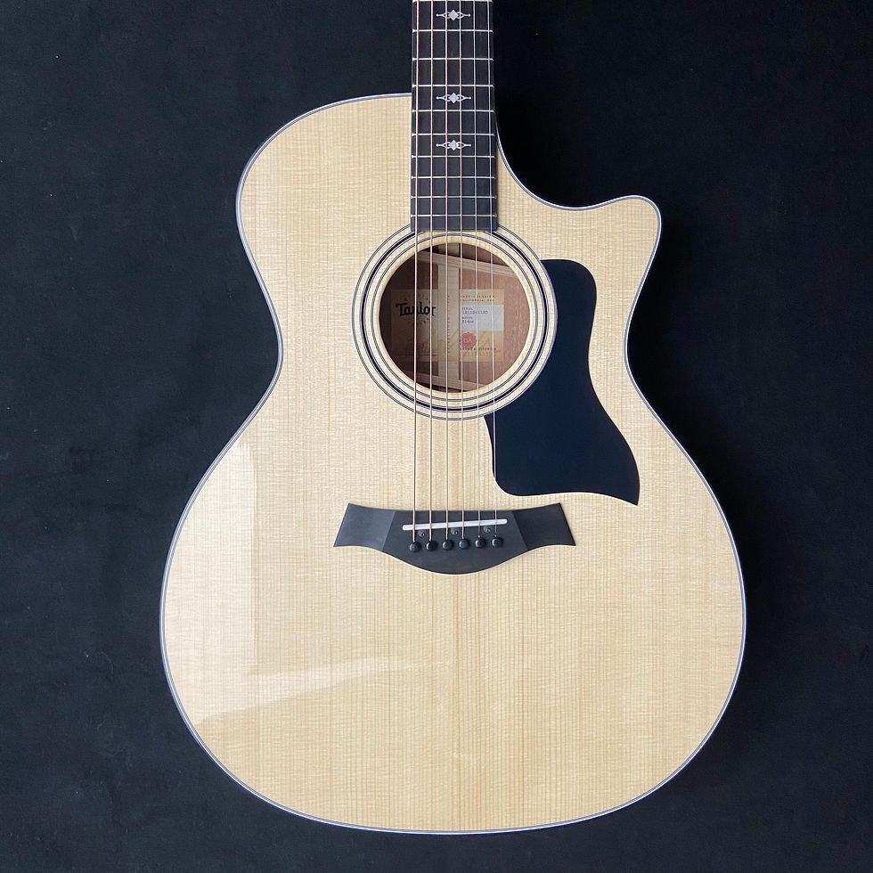 Taylor 314ce Grand Auditorium Special Edition