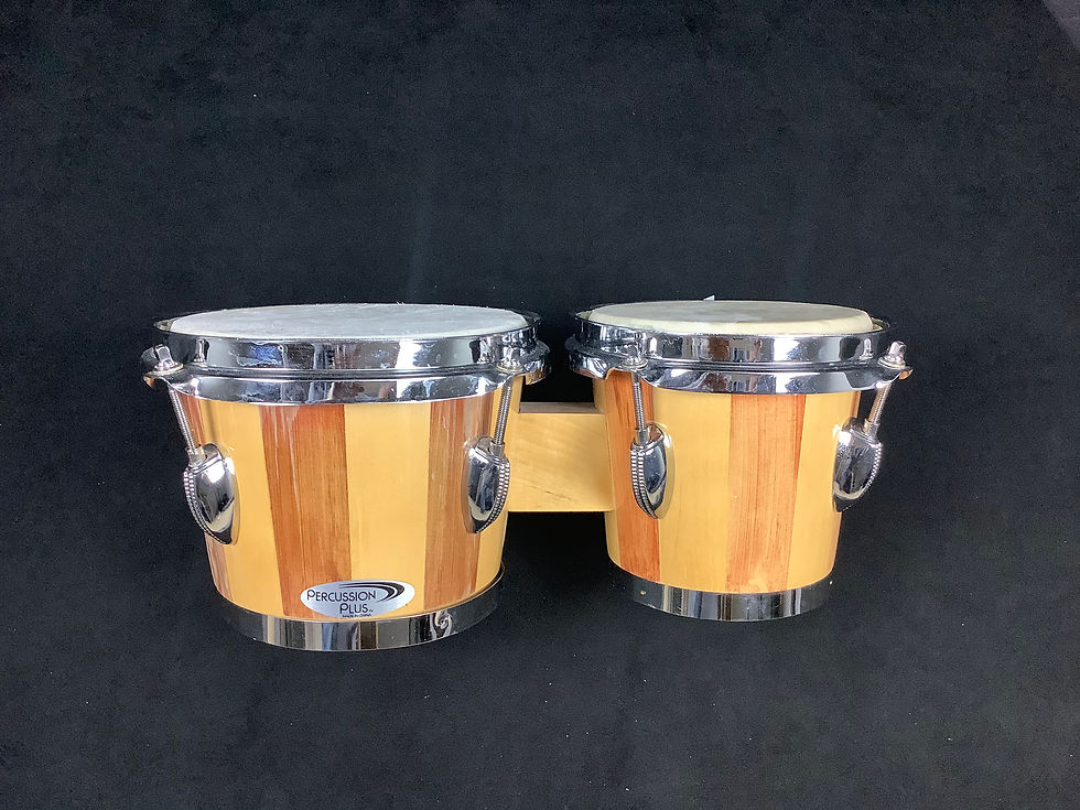LPD 5D2 Bongo Pack w/Case & Cowbell