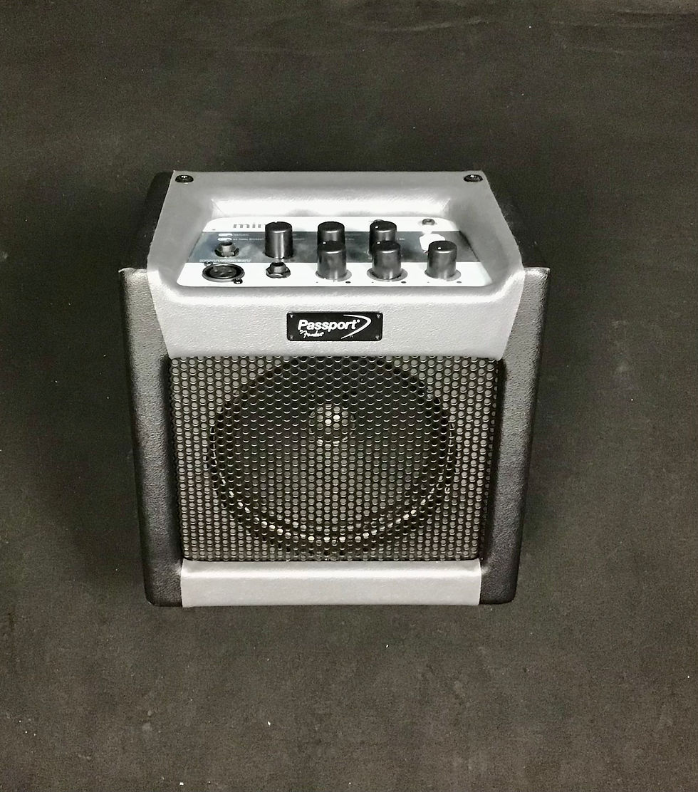 Used Fender Passport Mini | new-canaan-music_1