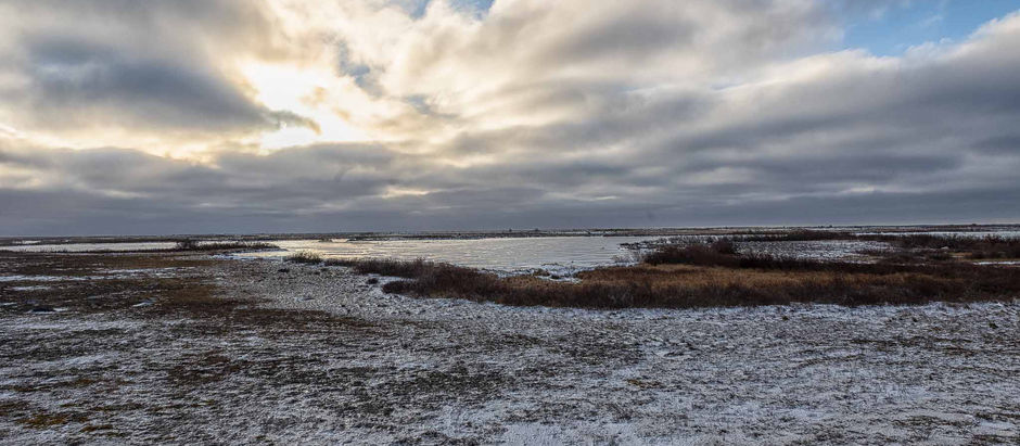 Churchill Day 4 - 10/31/2024