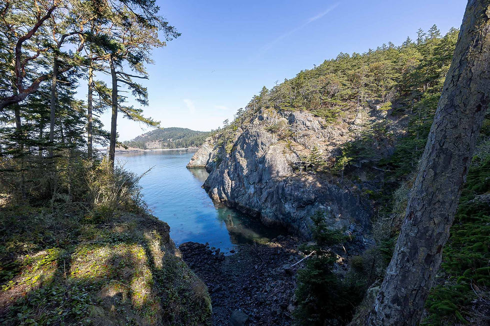 Views from the Lottie Point Loop trail