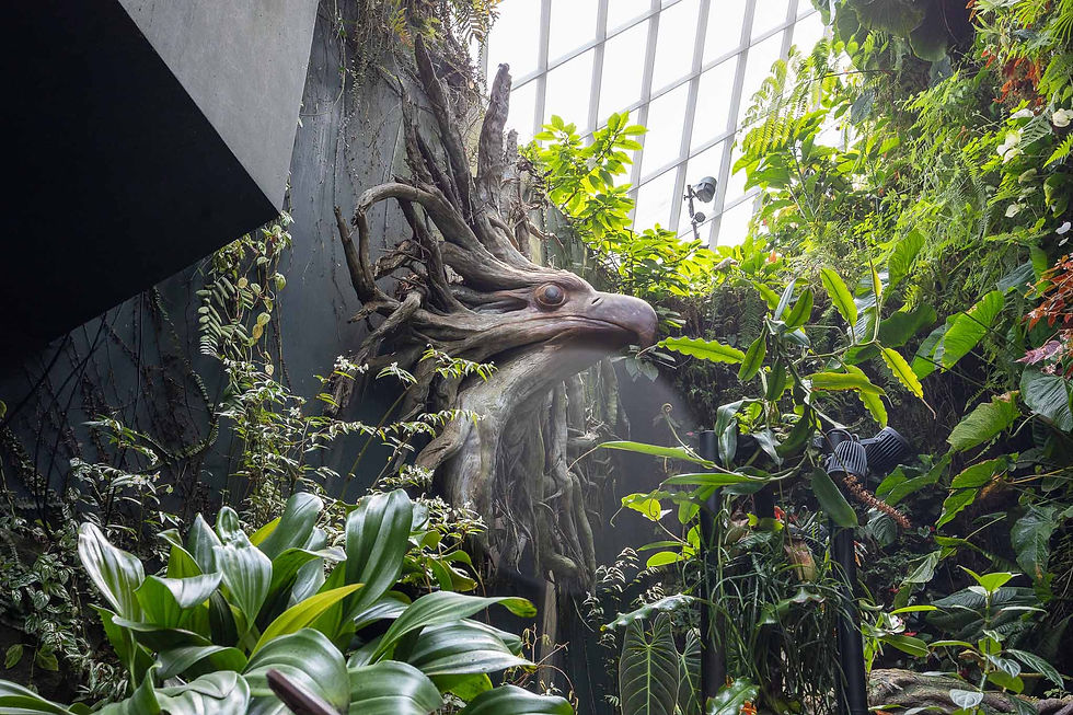 An eagle sculpture made from the toots of a tree