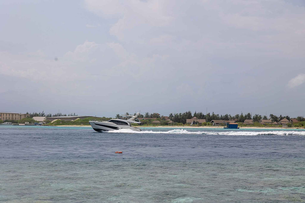 View from the island