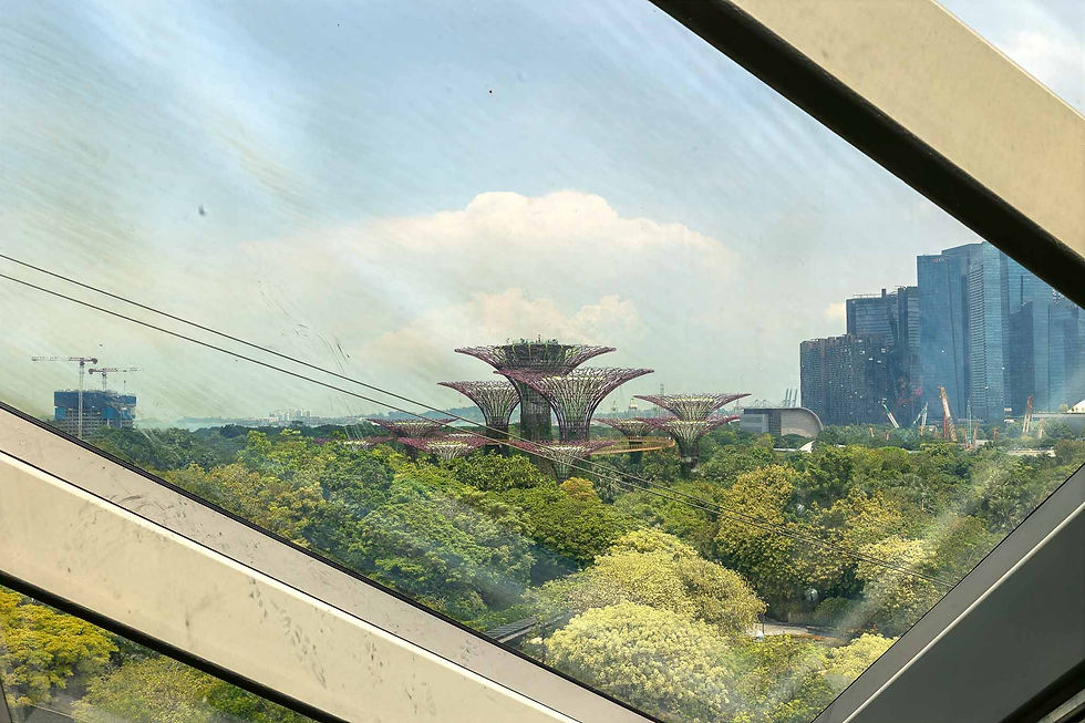 Views of some of the cooling towers through the dome