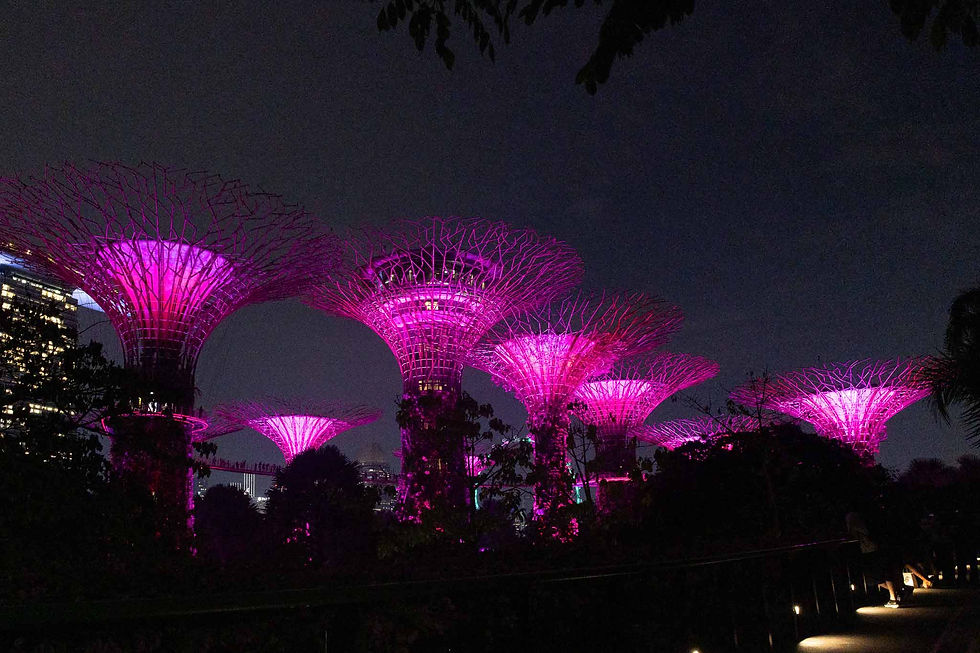 Light show