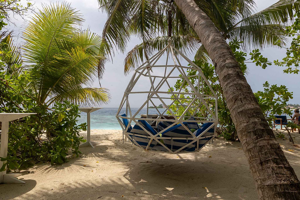Beach area