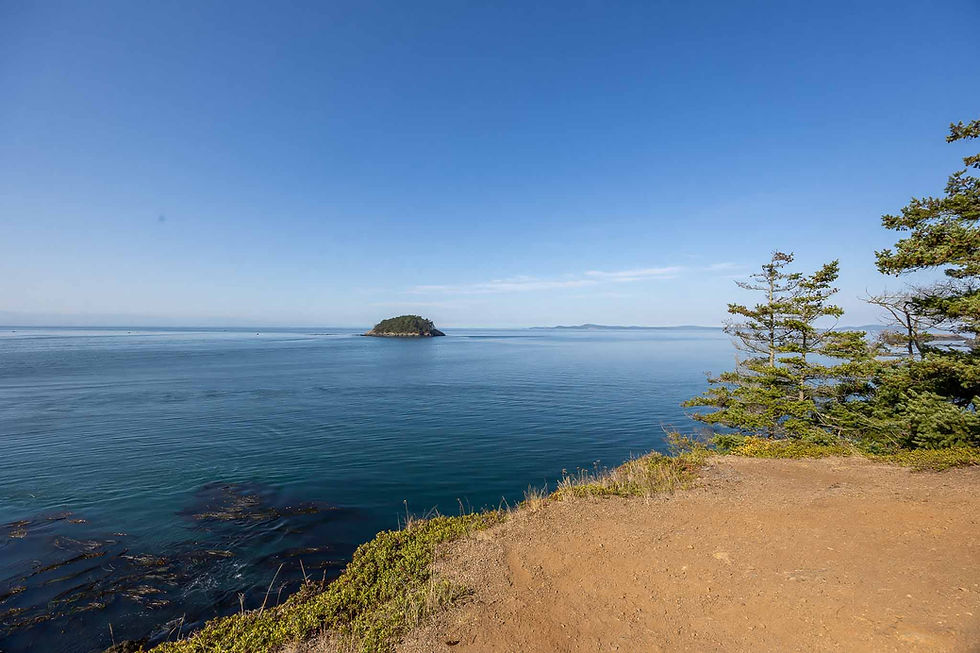 Views from the Lottie Point Loop trail
