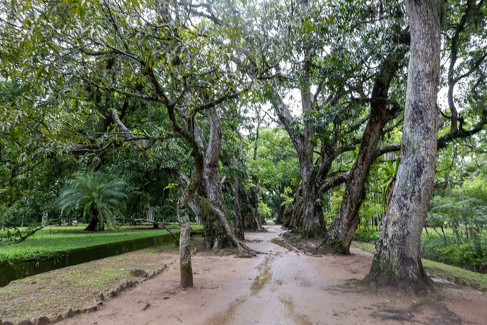 Views at the Botanical Gardens