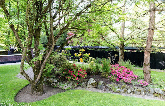 5/28/2016 – Claremoris