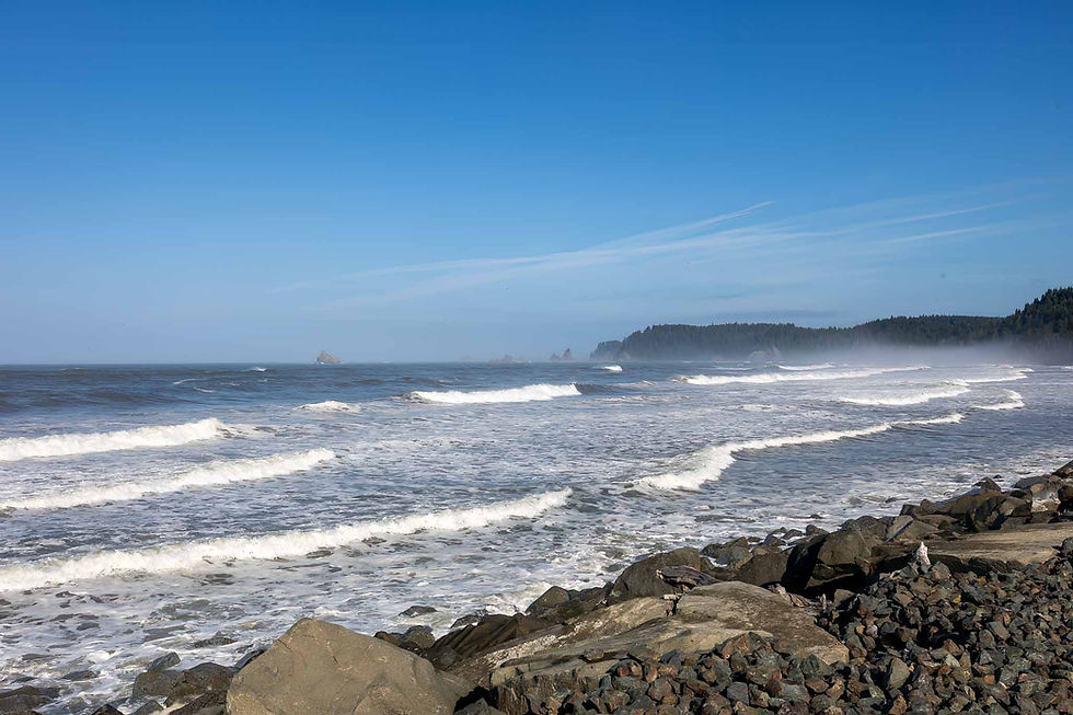 Views from Rialto Beach