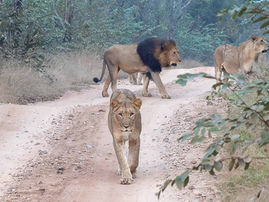 Karongwe Day 2 - 5/30/2026