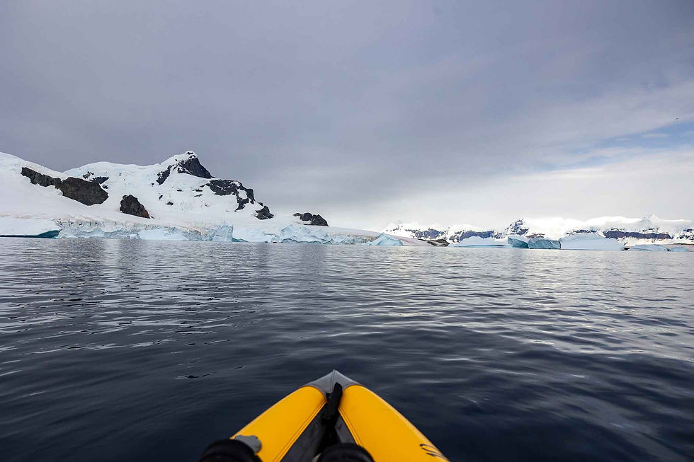 Cuverville Island harbor from the kayak