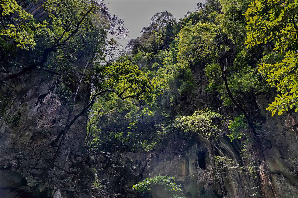 Views inside of the caves and grottos