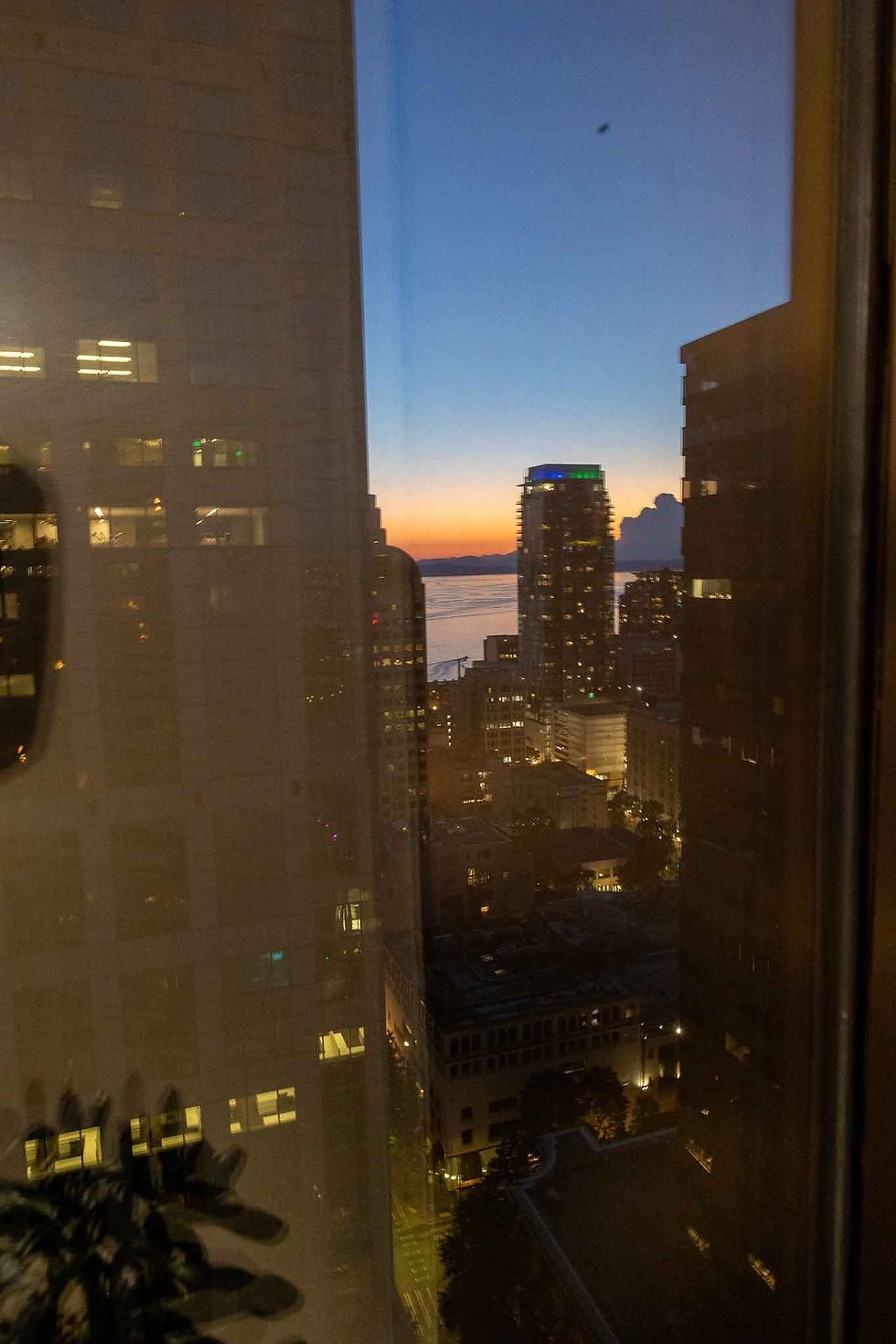 View from the lounge