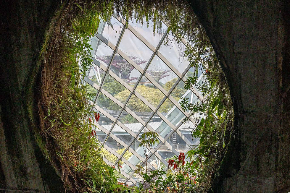 a little portal with a view of the towers