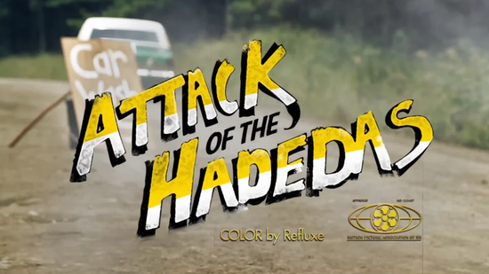 Attack of the Hadedas