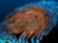 single-fingerprint.jpg