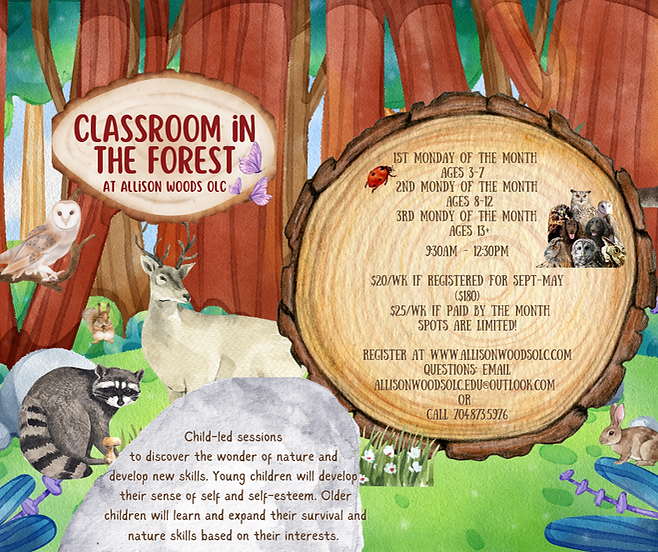 Forest School - Ages 13-17