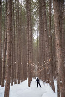 Patinoire du Grand Lodge