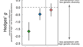 New paper by the Gibson lab out in Evolution Letters!