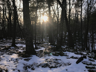 Connect to the Winter Solstice