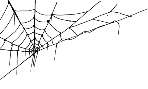 spider-web-corner-6.png