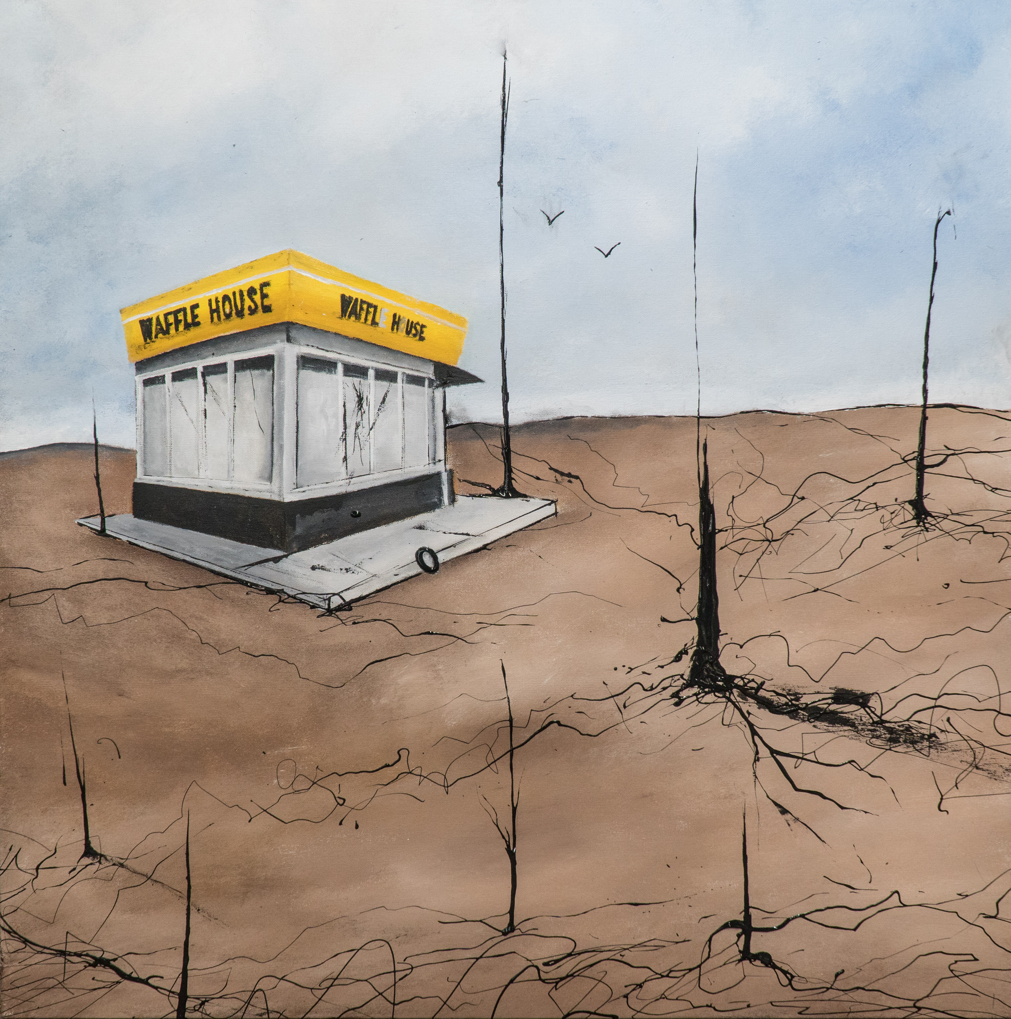 Shelter