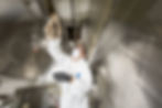 man cleaning all the the crevices in the ceiling of commercial kitchen