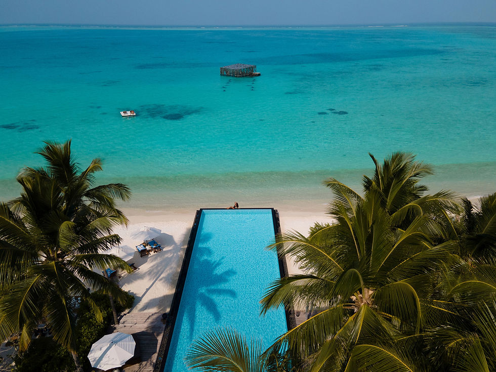 The expansive infinity pool at Fairmont