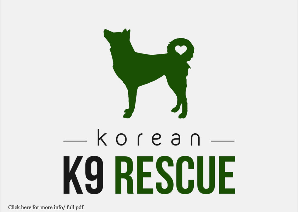 KK9R Logo Design