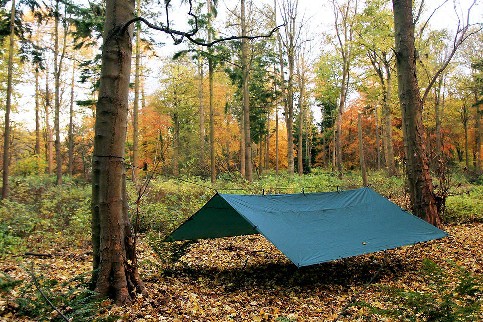 DD Tarp タープ 4X4  DD hammocks