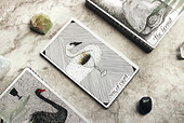 tarot-reading-how-to-ask-the-right-quest