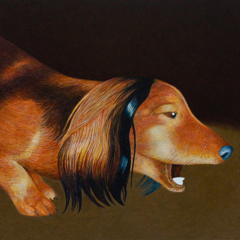 "Drawing For Shortened Dogs"
