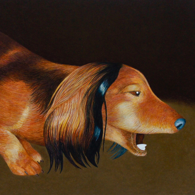 "Drawing For Shortened Dogs"