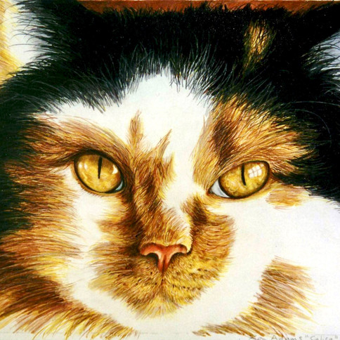"Calico"