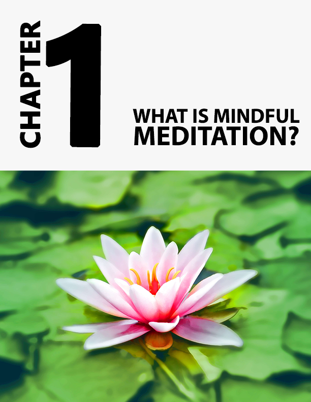 Thumbnail: Mindful Meditation (Bundle -Ebook, check list, video)