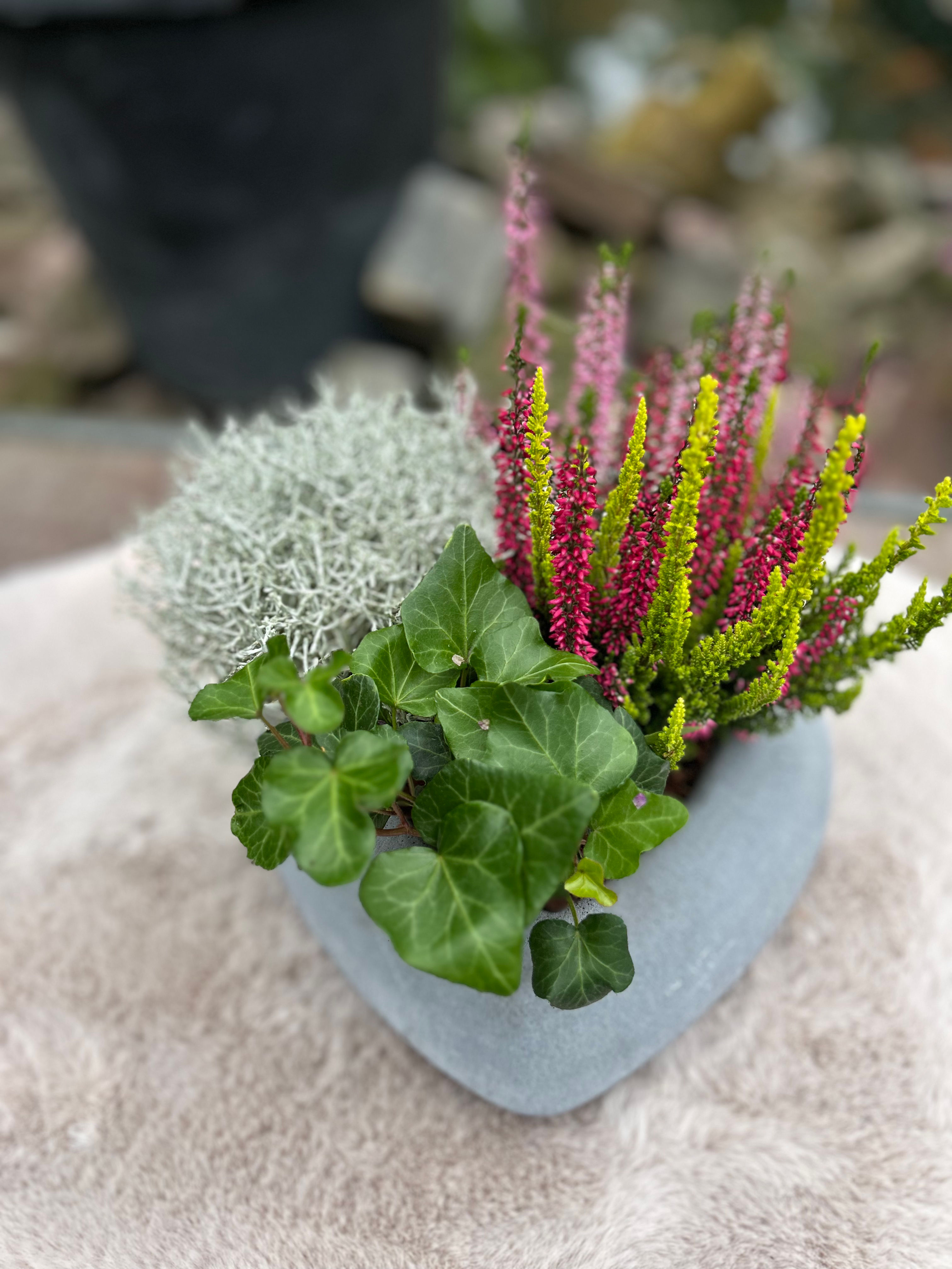 Coupe - Groot hart polystone