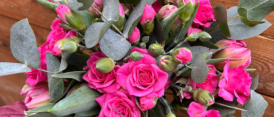 In de kijker - Tulpen met groen