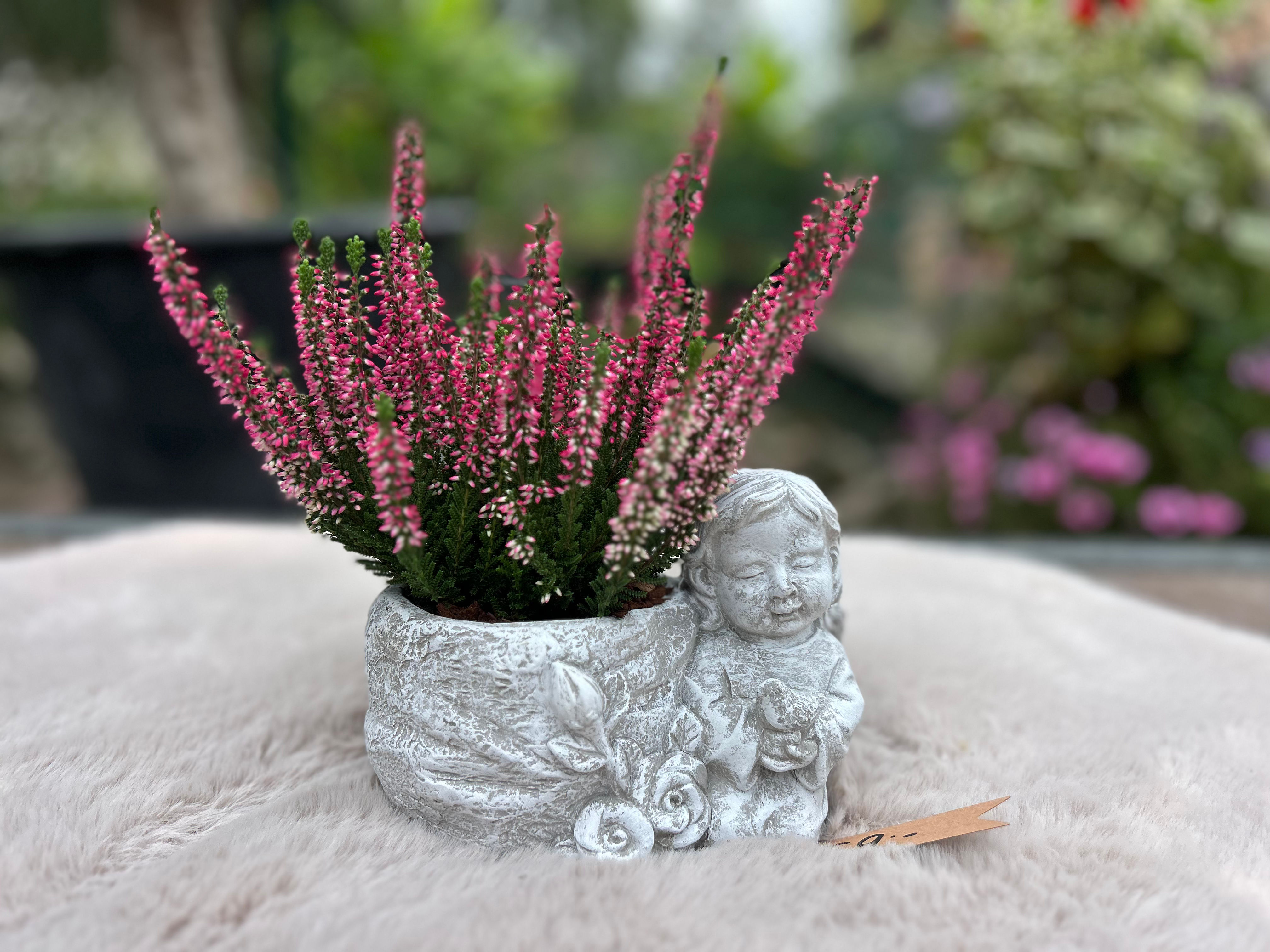 Coupe - Engeltje met vogel