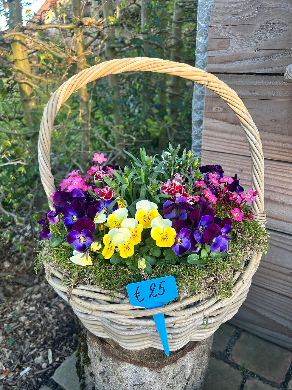 Thumbnail: Planten 'Coupes'