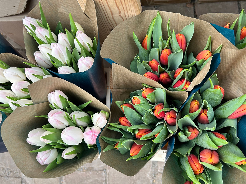 Thumbnail: In de kijker - Pakje tulpen