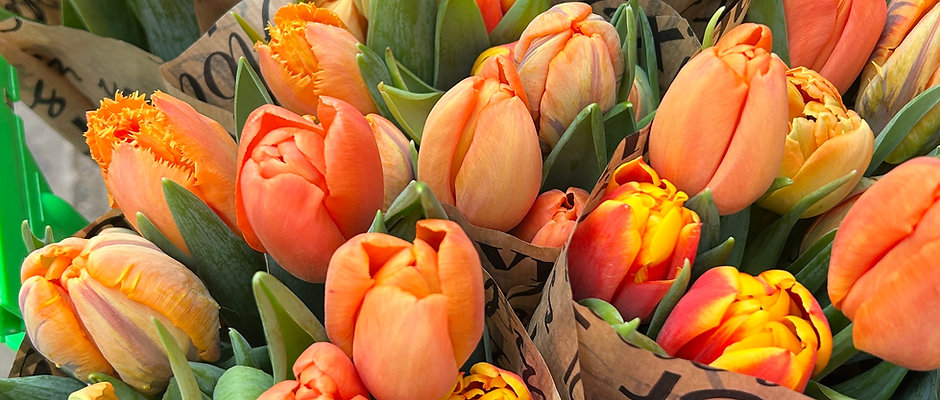 In de kijker - Pakje tulpen