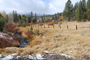 DSC_0003.jpg