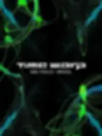 TIME WARP BRASIL 2026