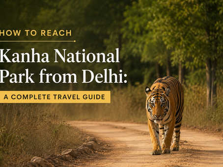 How to Reach Kanha National Park from Delhi: A Complete Travel Guide for Wildlife Enthusiasts